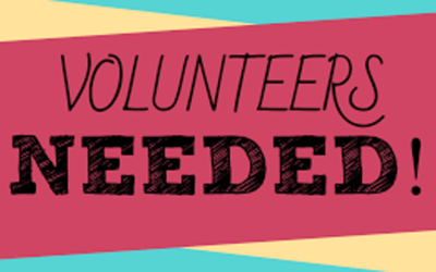 Web Design Volunteer at CCLSYS