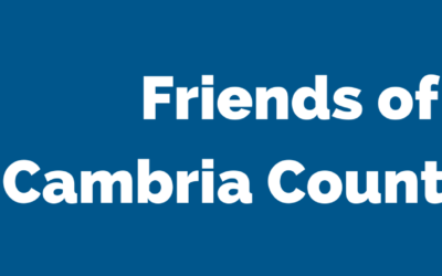 Inclined to Read Bookstore – Now Open!